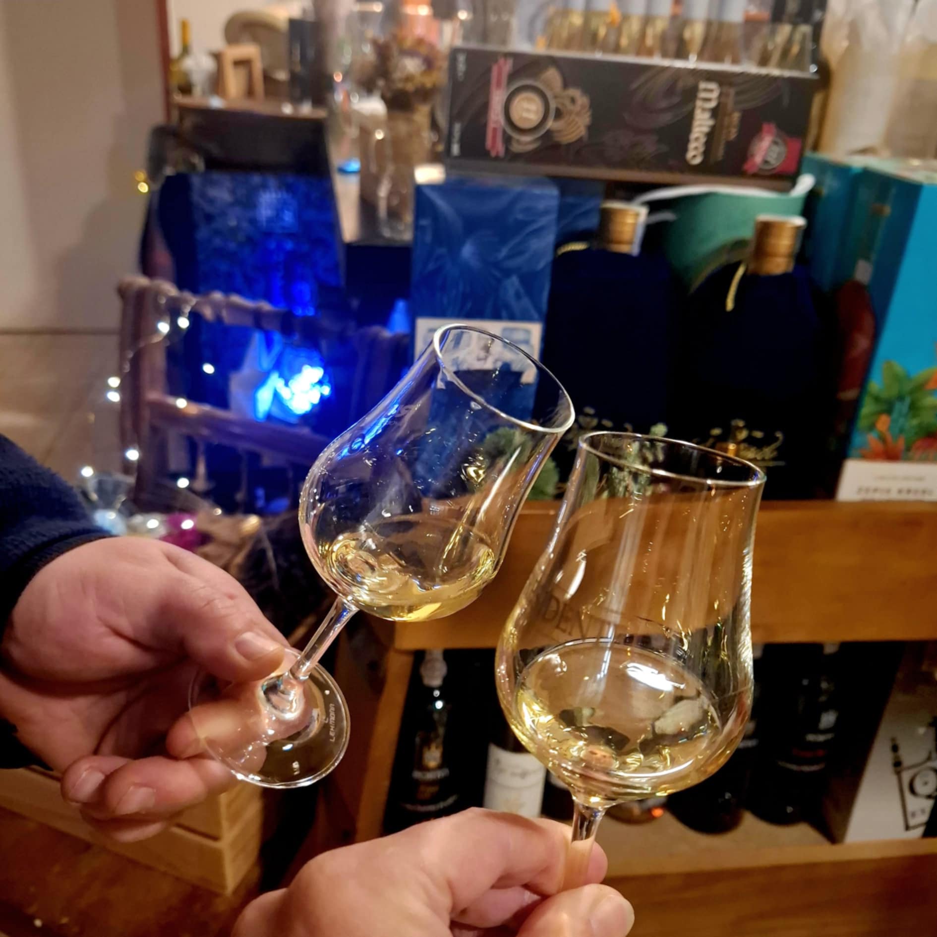 Ginový kurz začátečník